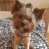 _olive_york_ - @_olive_york_ - TikTok