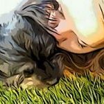 Olive Ketcham Smith - @oliveyorkiepoo - Instagram