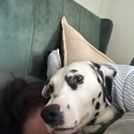Olive Autumn Brown - @olive.a.brown - Instagram