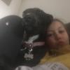 Useroliveabrown12345 - @oliveabrown12345 - TikTok