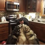 Oliver King - @oliver.a.king - Instagram