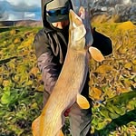 Oliver - @oliver___app - Instagram