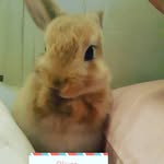 Jon Kephart - @babby_oliver - Instagram