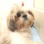 Oliver Bach - @oliver_bach0505 - Instagram