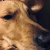 Oliver_baird18 - @oliver_baird - TikTok