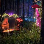 Oliver Baird - Facebook