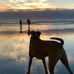 Oliver Baird - Facebook