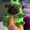 Oliver Barrera - @oliver.barrera7 - TikTok