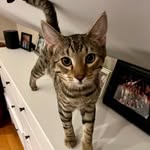Oliver Bast - @oliverbast - Instagram