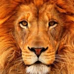 Oliver Baumgartner - @oliver.baumgartner.3 - Instagram
