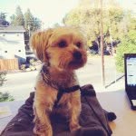 Oliver Baxter - @oliverbaxterbadtothebone - Instagram