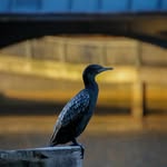 Oliver Baxter Photography - @_moments_photography_ - Instagram