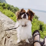 Oliver Baxter Valimont - @olliebvali - Instagram