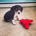 Oliver James Baxter - @oliver_baxter - Instagram
