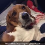 oliver.bergeron - @oliver.bergeron - Instagram