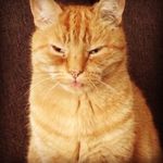Oliver Betts - @betts.oliver - Instagram