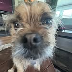 oliver - @oliver.bl.ock - Instagram