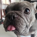 Oliver & Blue - @oliver.and.blue - Instagram