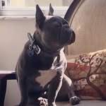 Oliver Blue Webb - @oliverblue_miami - Instagram