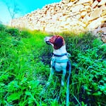 Oliver - @oliver____blue - Instagram