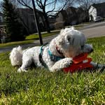 Oliver - @oliver_blue_04 - Instagram