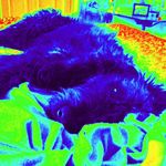 Oliver Bock - @bockachini - Instagram