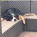 Oliver Bohm - Facebook