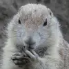 oliverbond_007 - @oliverbond_007 - TikTok
