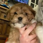 Oliver bowles - @olxver9 - Instagram