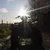 oliverbowman6 - @oliverbowman6 - TikTok