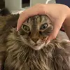 Oliver Boyd922 - @oliverboyd08 - TikTok