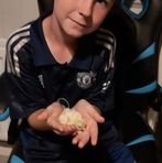 Oliver Brady - Facebook