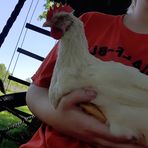 Oliver Brady - Facebook