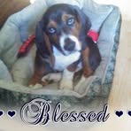 Oliver Bratcher - Facebook