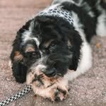oliver & bray - @oliverandbray - Instagram