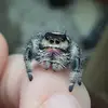 oliver234 - @oliver.bruce0 - TikTok