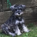 Buddy Oliver - @buddy._.oliver - Instagram