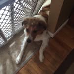 Buddy Oliver - @officalbuddyoliver - Instagram