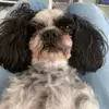 Cr_dacyuc - @oliverengburger - TikTok