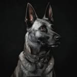 Oliver Bürger - @boddo77 - Instagram
