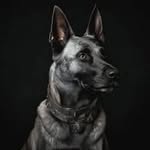 Oliver Bürger - @oliverburger39 - Instagram