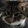 oliverburger10 - @oliverburger10 - TikTok