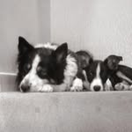 Oliver Burrows - @oliver.burrows.549 - Instagram