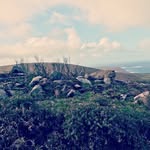 Oliver Burrows - @biggrrzz - Instagram