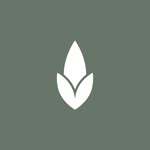 Oliver Busch - @tumbleweed.ventures - Instagram