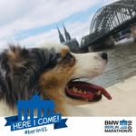 Oliver Busch - @hansmaulwurf000 - Instagram