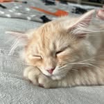 Oliver - @oliverbuschfanpage - Instagram