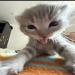 Gage Oliver - Facebook