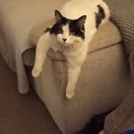 Oliver-John Cage - @ollij_cage881 - Instagram