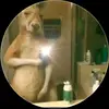 Oliver Camacho - @olivercamacho257 - TikTok